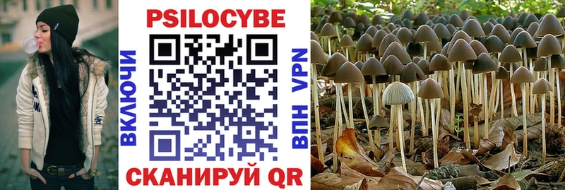 hydra зеркало  Бабушкин  Псилоцибиновые грибы Magic Shrooms 